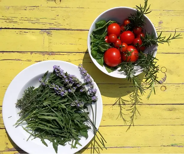 Gardening in the office? Why not!