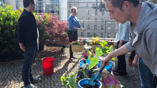 Gardening in the office? Why not!
